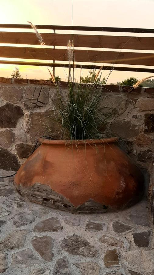 Savvas Brian Mountain House In Paphos Βίλα Πενταλιά Εξωτερικό φωτογραφία