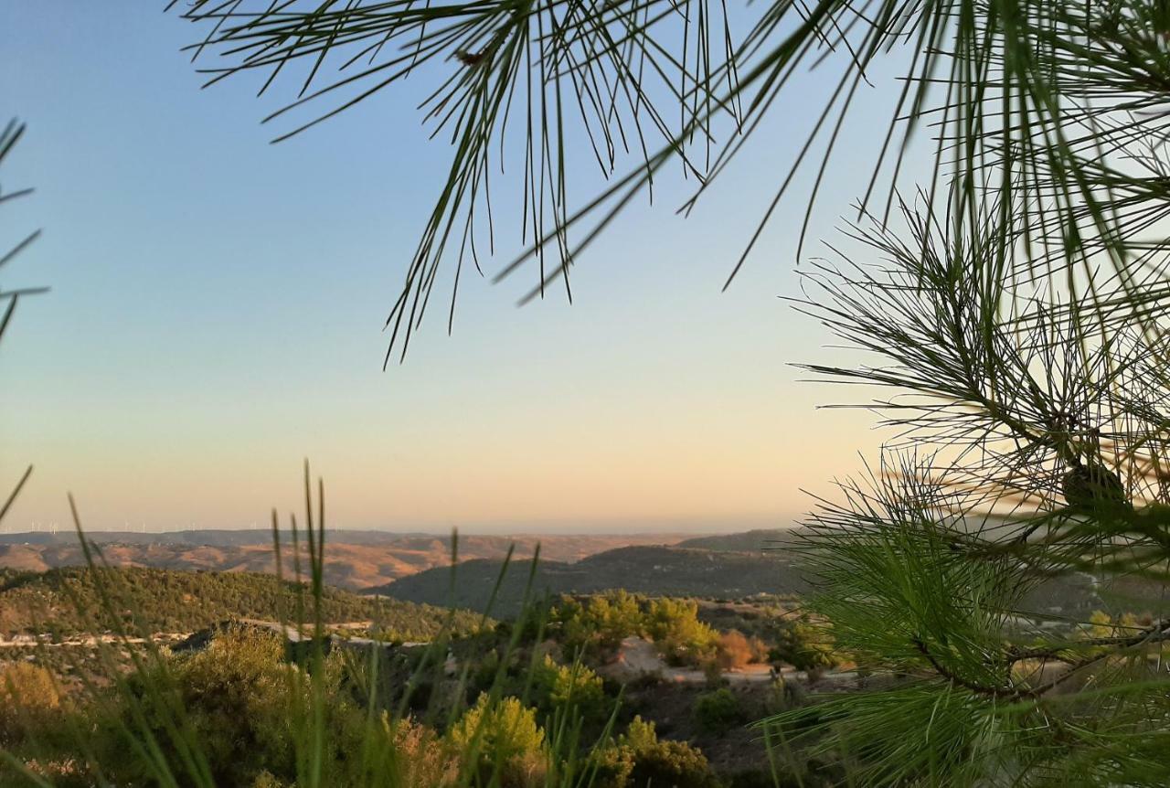 Savvas Brian Mountain House In Paphos Βίλα Πενταλιά Εξωτερικό φωτογραφία